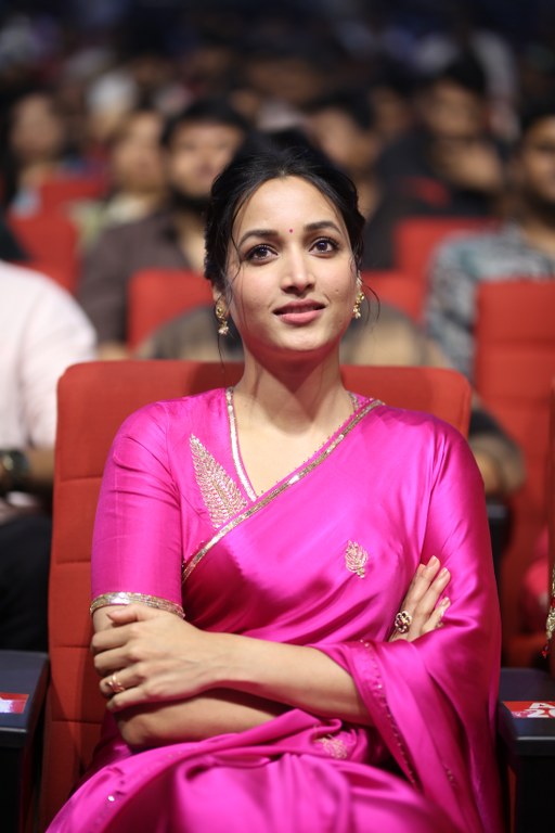 Srinidhi Shetty Shines in Pink Saree