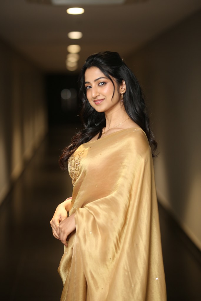 Sushmita Shetty Shines in Gold Saree