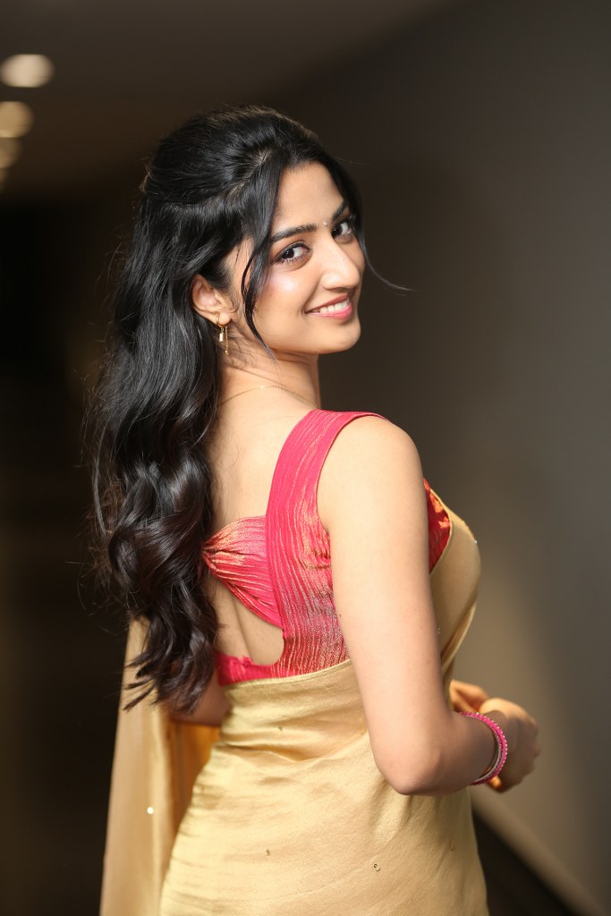 Sushmita Shetty Shines in Gold Saree