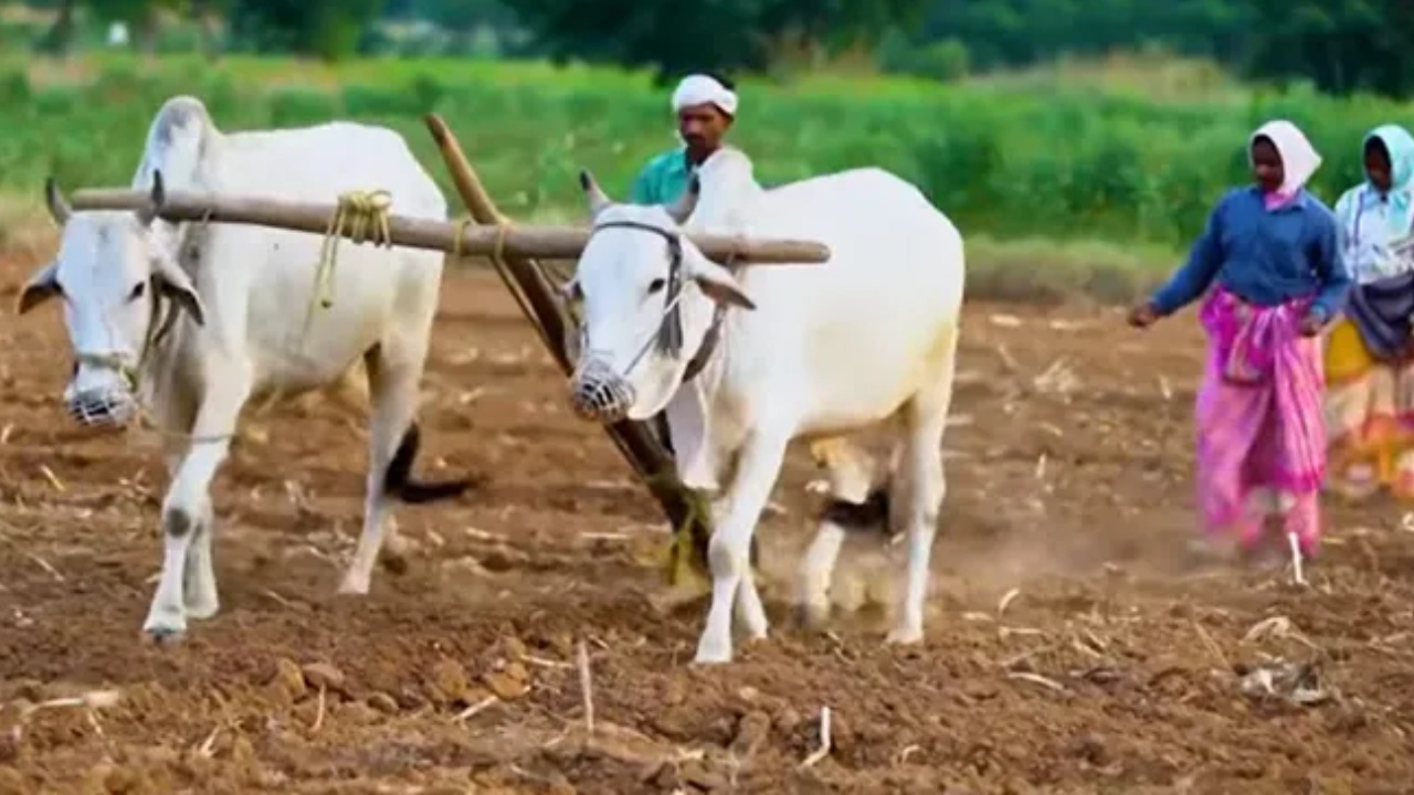 Telangana Govt : రైతులకు గుడ్‌న్యూస్‌.. ఎల్‌నినో నేపథ్యంలో తెలంగాణ సర్కార్ కీలక నిర్ణయం..