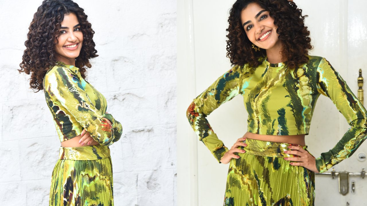 Anupama Parameswaran : పెళ్లి కాకుండానే పిల్లలు కావాలి.. అనుపమ పరమేశ్వరన్ కామెంట్స్ వైరల్..