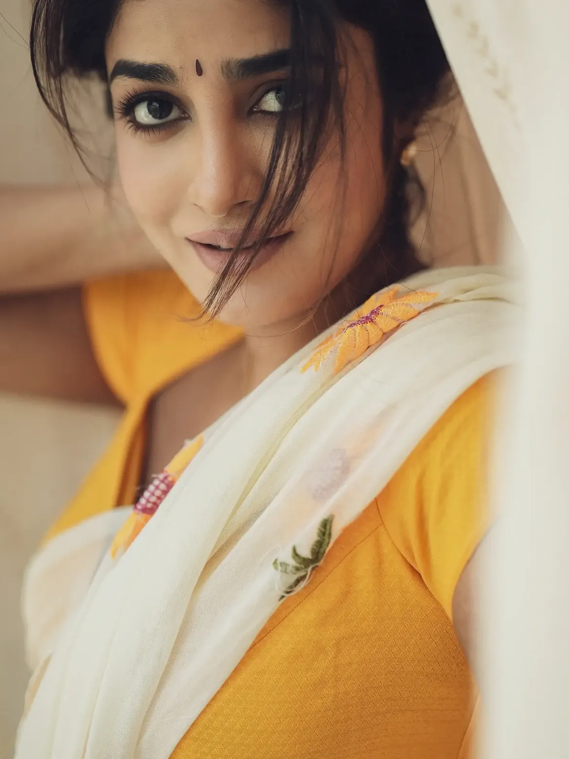 Dimple Hayathi Stunning Looks in Saree