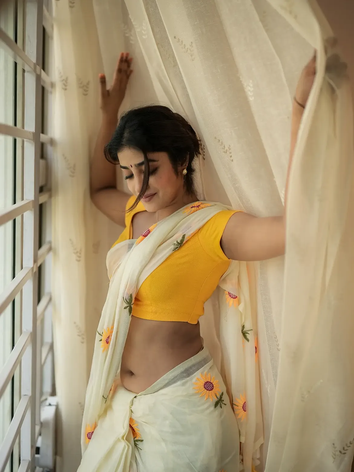 Dimple Hayathi Stunning Looks in Saree