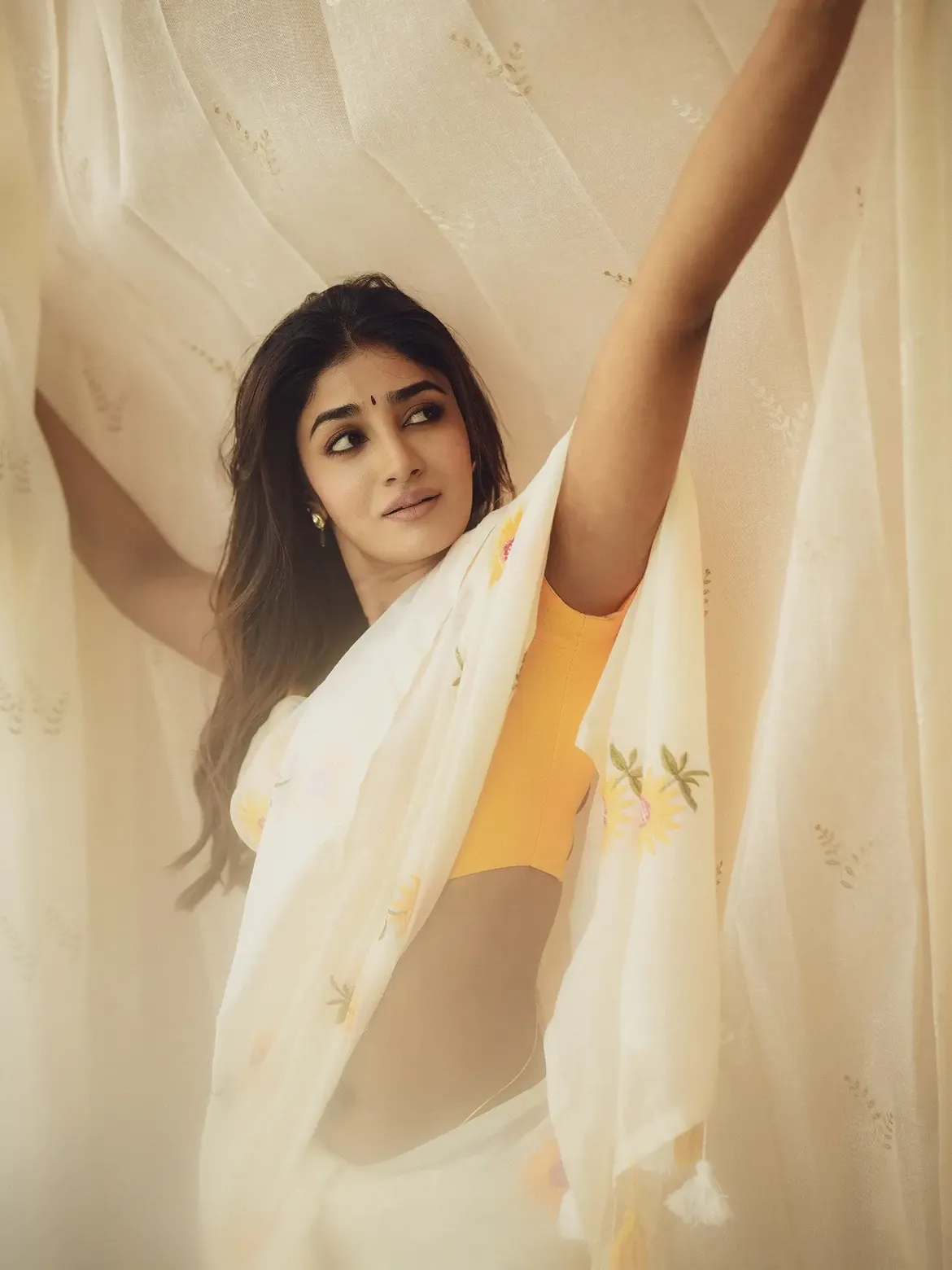 Dimple Hayathi Stunning Looks in Saree