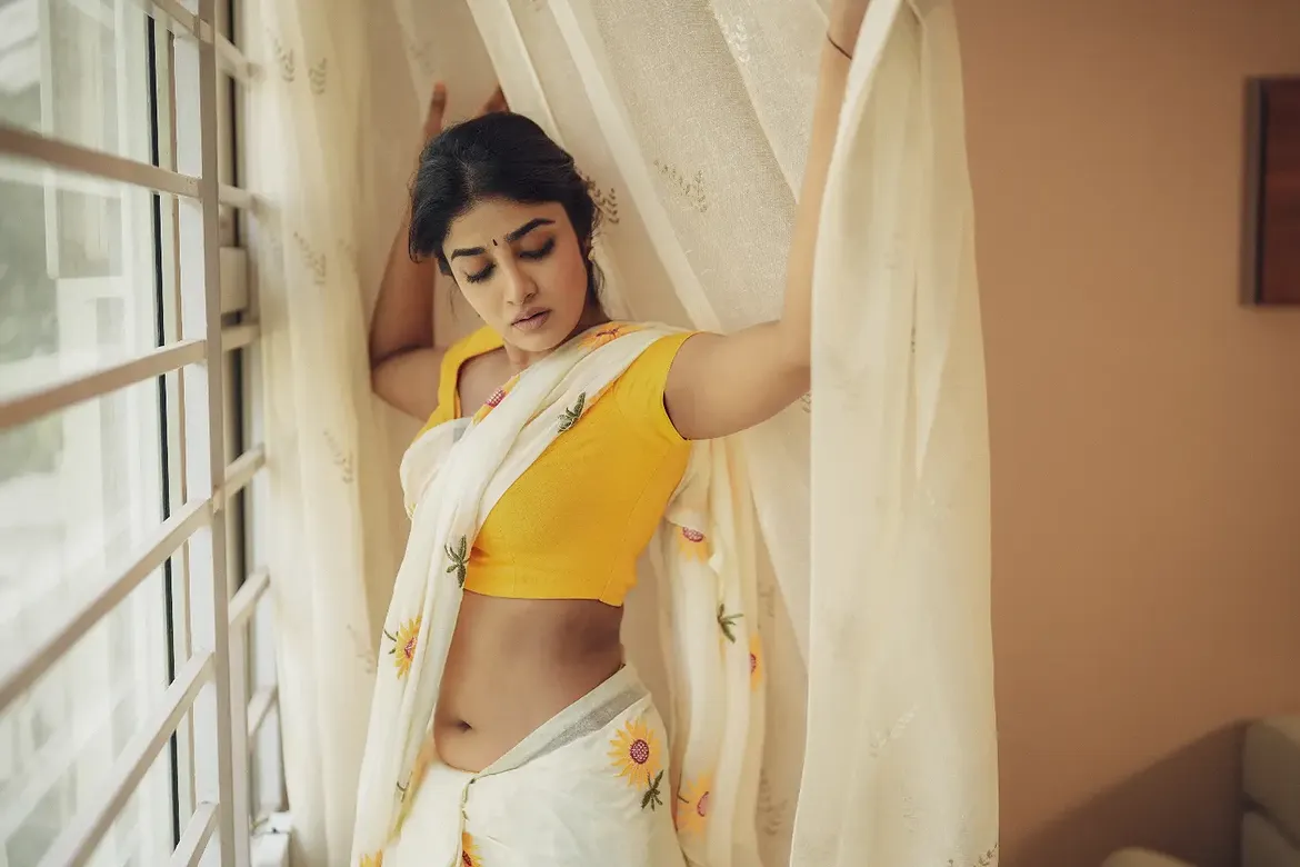Dimple Hayathi Stunning Looks in Saree