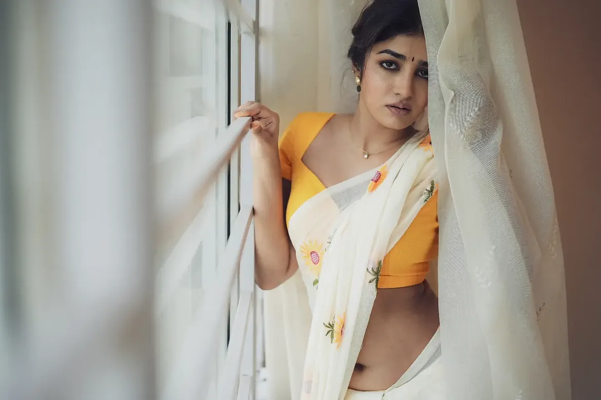 Dimple Hayathi Stunning Looks in Saree