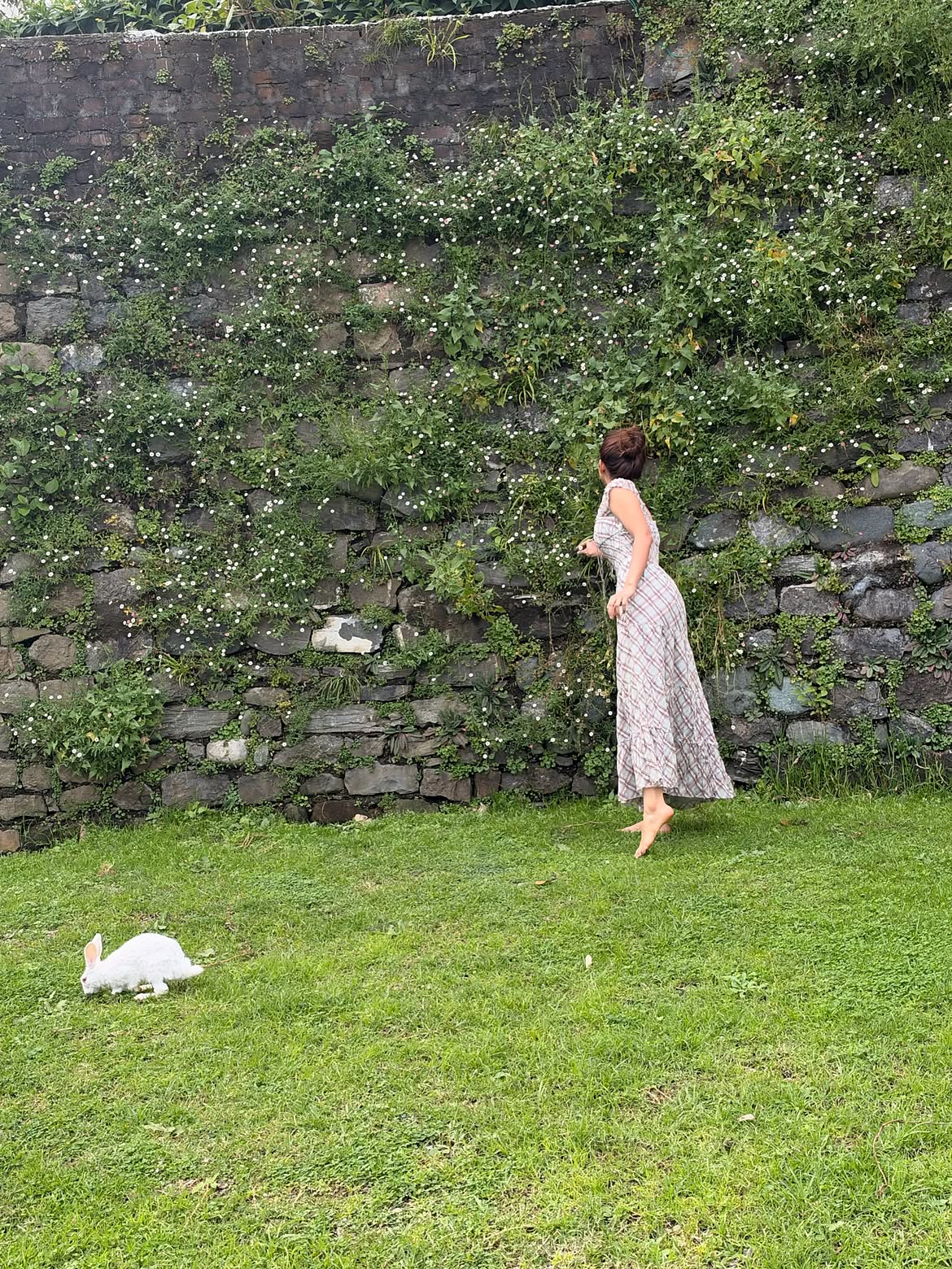 Sreeleela Playing with Rabbits